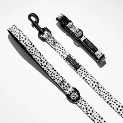 Cocopup Leads-Monochrome Spots Lead