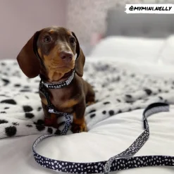 Cocopup Leads | Puppy Leads & Collars-Monochrome Spots Lead - Puppy