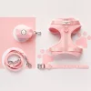 Cocopup Nakd D-Ring Harnesses | Nakd D-Ring Harness Bundles-NAKD Adjustable Neck Harness, Lead, Collar & Poop Bag Holder Bundle - Candyfloss