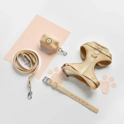 Cocopup Nakd D-Ring Harnesses | Nakd D-Ring Harness Bundles-NAKD Adjustable Neck Harness, Lead, Collar & Poop Bag Holder Bundle - Biscuit
