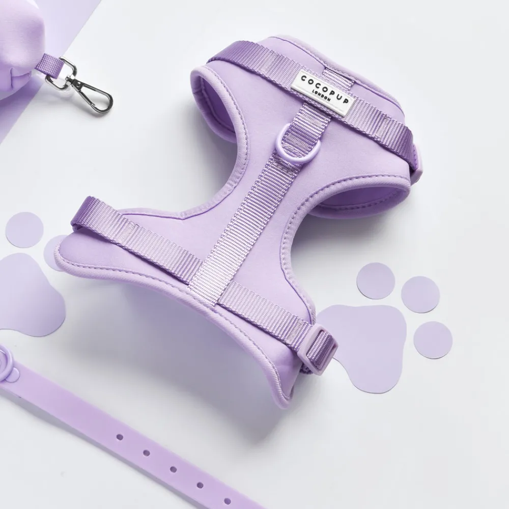 Cocopup Adjustable Neck Harnesses | Nakd D-Ring Harnesses-NAKD Adjustable Neck Harness - Parma Violets