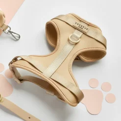 Cocopup Adjustable Neck Harnesses | Nakd D-Ring Harnesses-NAKD Adjustable Neck Harness - Biscuit