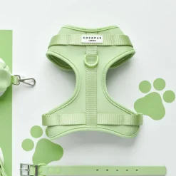 Cocopup Nakd D-Ring Harnesses | Nakd D-Ring Harness Bundles-NAKD Adjustable Neck Harness, Lead, Collar & Poop Bag Holder Bundle - Matcha