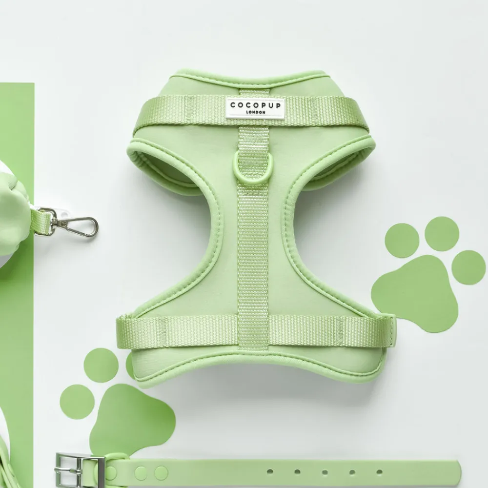 Cocopup Nakd D-Ring Harnesses | Nakd D-Ring Harness Bundles-NAKD Adjustable Neck Harness, Lead, Collar & Poop Bag Holder Bundle - Matcha