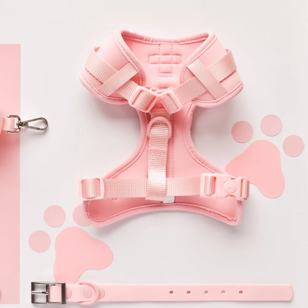 Cocopup Nakd D-Ring Harnesses | Nakd D-Ring Harness Bundles-NAKD Adjustable Neck Harness, Lead, Collar & Poop Bag Holder Bundle - Candyfloss