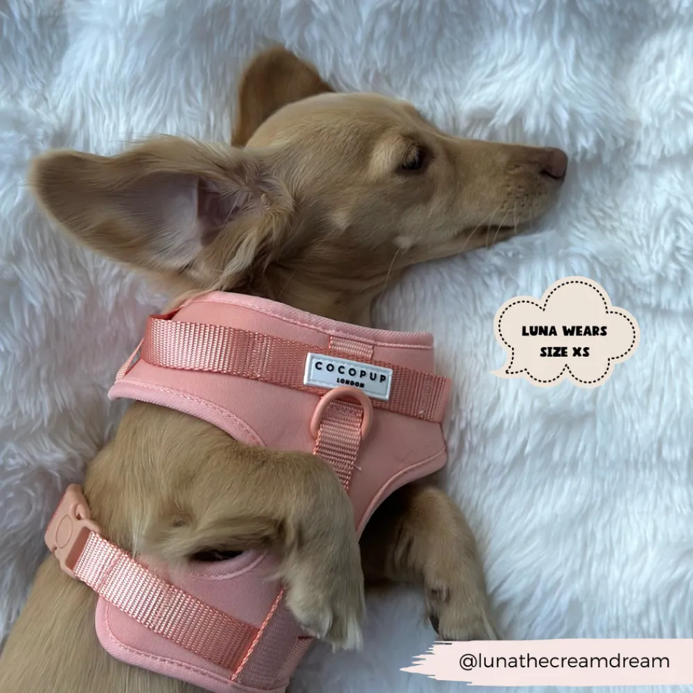Cocopup Nakd D-Ring Harnesses | Adjustable Neck Harnesses-NAKD Adjustable Neck Harness - Peach Floof