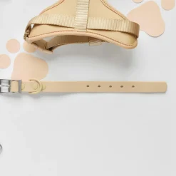 Cocopup Nakd D-Ring Harnesses | Nakd D-Ring Harness Bundles-NAKD Adjustable Neck Harness, Lead, Collar & Poop Bag Holder Bundle - Biscuit