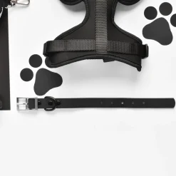 Cocopup Nakd D-Ring Harnesses | Nakd D-Ring Harness Bundles-NAKD Adjustable Neck Harness, Lead, Collar & Poop Bag Holder Bundle - Liquorice