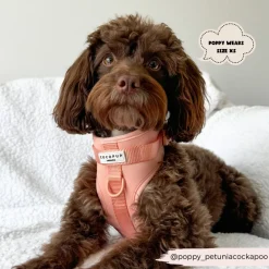Cocopup Nakd D-Ring Harnesses | Adjustable Neck Harnesses-NAKD Adjustable Neck Harness - Peach Floof