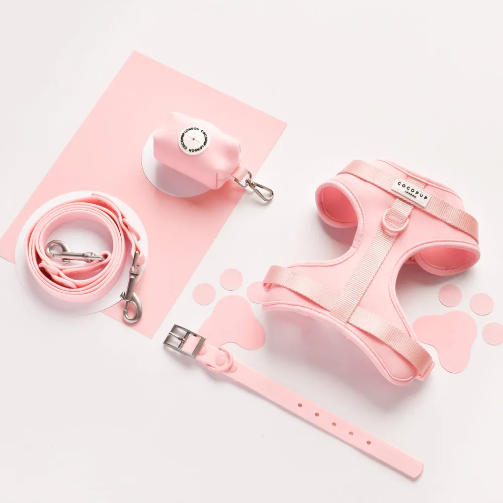 Cocopup Adjustable Neck Harnesses | Nakd D-Ring Harnesses-NAKD Adjustable Neck Harness - Candyfloss