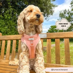 Cocopup Nakd D-Ring Harnesses | Adjustable Neck Harnesses-NAKD Adjustable Neck Harness - Peach Floof