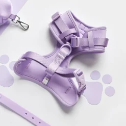 Cocopup Nakd D-Ring Harnesses | Nakd D-Ring Harness Bundles-NAKD Adjustable Neck Harness, Lead, Collar & Poop Bag Holder Bundle - Parma Violets