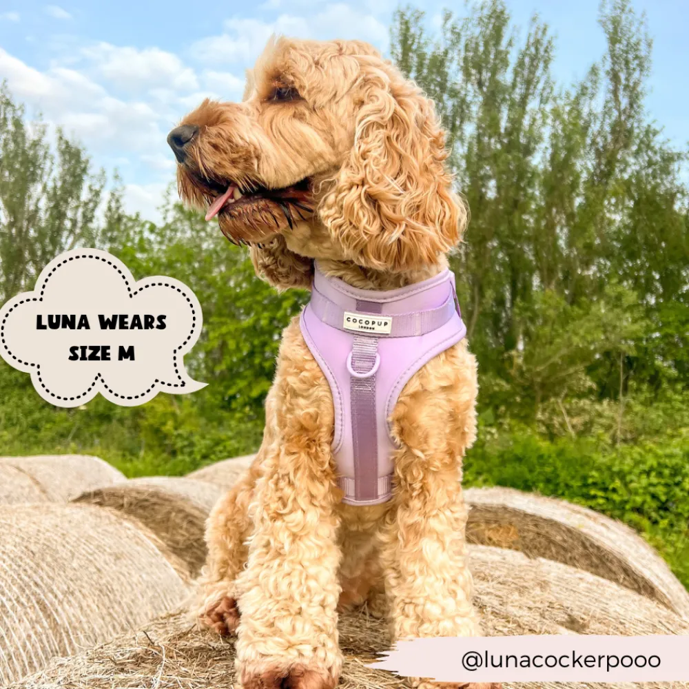 Cocopup Adjustable Neck Harnesses | Nakd D-Ring Harnesses-NAKD Adjustable Neck Harness - Parma Violets