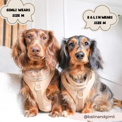 Cocopup Adjustable Neck Harnesses | Nakd D-Ring Harnesses-NAKD Adjustable Neck Harness - Biscuit