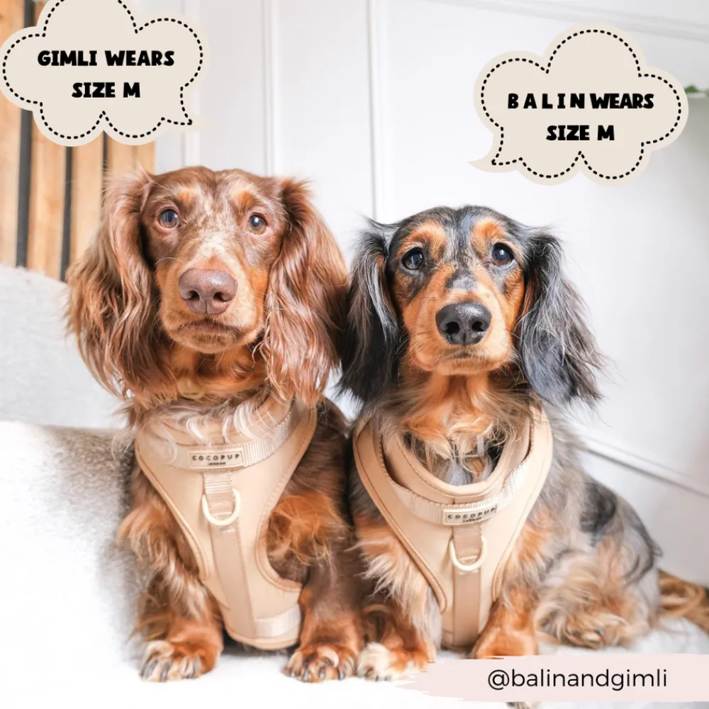 Cocopup Adjustable Neck Harnesses | Nakd D-Ring Harnesses-NAKD Adjustable Neck Harness - Biscuit