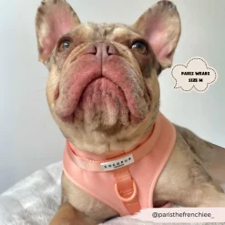 Cocopup Nakd D-Ring Harnesses | Adjustable Neck Harnesses-NAKD Adjustable Neck Harness - Peach Floof