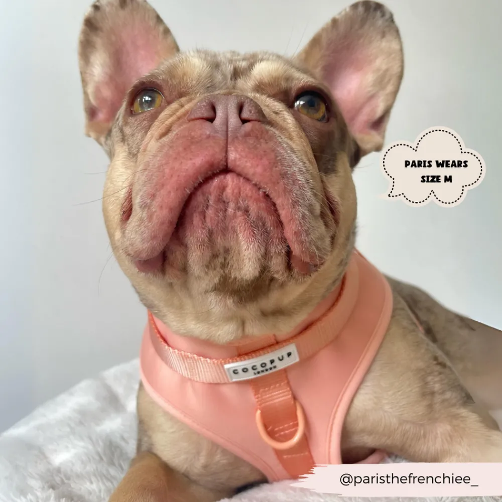Cocopup Nakd D-Ring Harnesses | Adjustable Neck Harnesses-NAKD Adjustable Neck Harness - Peach Floof