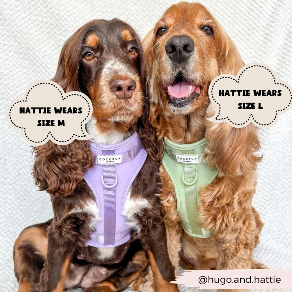 Cocopup Adjustable Neck Harnesses | Nakd D-Ring Harnesses-NAKD Adjustable Neck Harness - Matcha