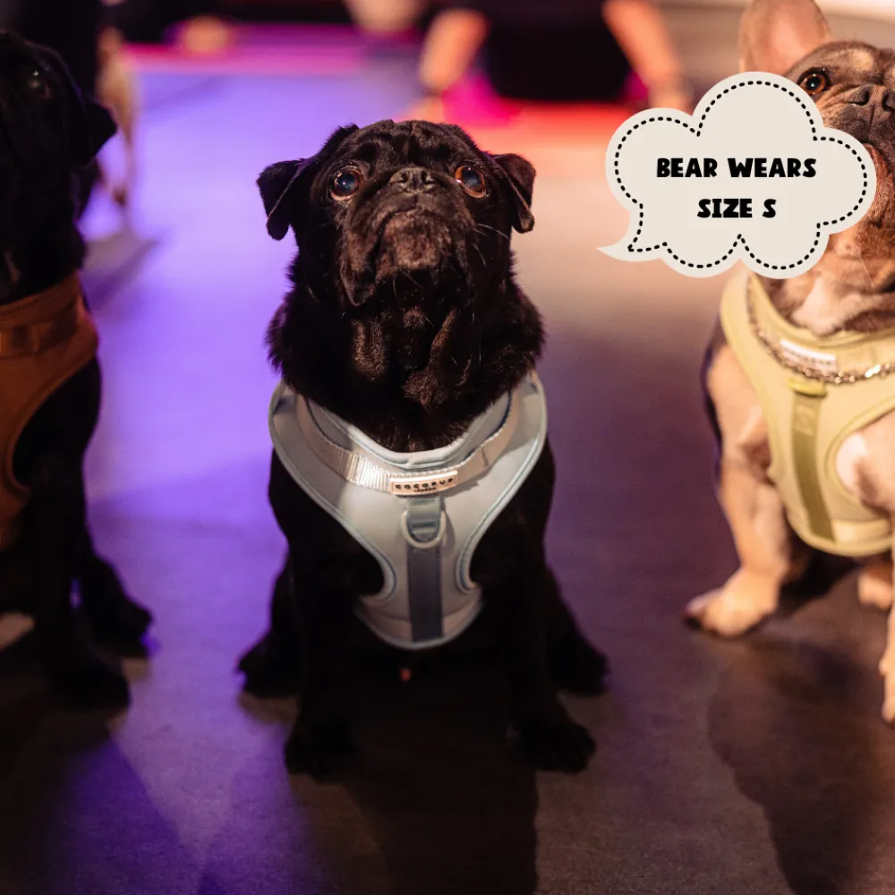 Cocopup Nakd D-Ring Harnesses | Nakd D-Ring Harness Bundles-NAKD Adjustable Neck Harness, Lead, Collar and Poop Bag Holder Bundle - Bubblegum