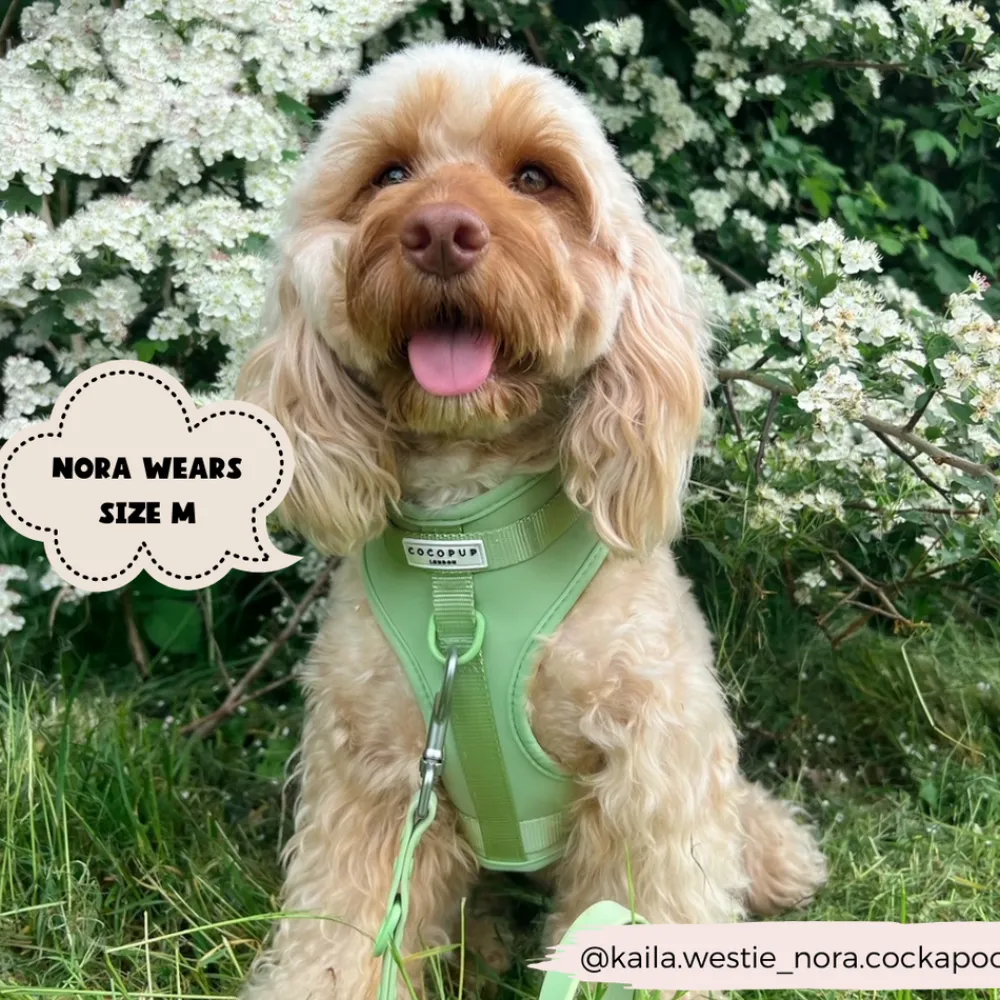 Cocopup Adjustable Neck Harnesses | Nakd D-Ring Harnesses-NAKD Adjustable Neck Harness - Matcha
