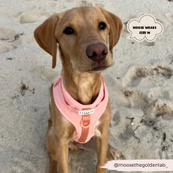 Cocopup Nakd D-Ring Harnesses | Adjustable Neck Harnesses-NAKD Adjustable Neck Harness - Peach Floof