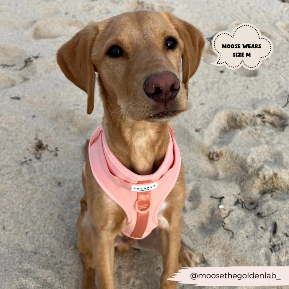 Cocopup Nakd D-Ring Harnesses | Adjustable Neck Harnesses-NAKD Adjustable Neck Harness - Peach Floof