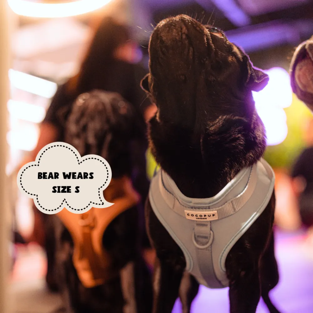 Cocopup Nakd D-Ring Harnesses | Nakd D-Ring Harness Bundles-NAKD Adjustable Neck Harness, Lead, Collar and Poop Bag Holder Bundle - Bubblegum