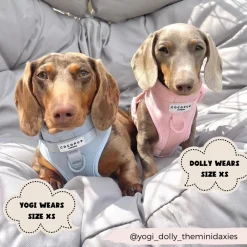 Cocopup Adjustable Neck Harnesses | Nakd D-Ring Harnesses-NAKD Adjustable Neck Harness - Bubblegum
