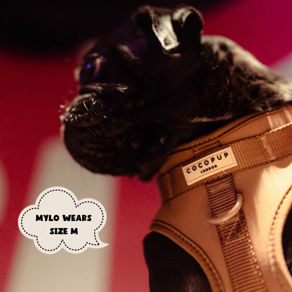 Cocopup Adjustable Neck Harnesses | Nakd D-Ring Harnesses-NAKD Adjustable Neck Harness - Brownie
