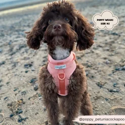 Cocopup Nakd D-Ring Harnesses | Adjustable Neck Harnesses-NAKD Adjustable Neck Harness - Peach Floof
