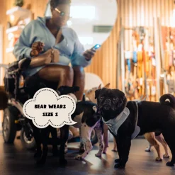 Cocopup Nakd D-Ring Harnesses | Nakd D-Ring Harness Bundles-NAKD Adjustable Neck Harness, Lead, Collar and Poop Bag Holder Bundle - Bubblegum