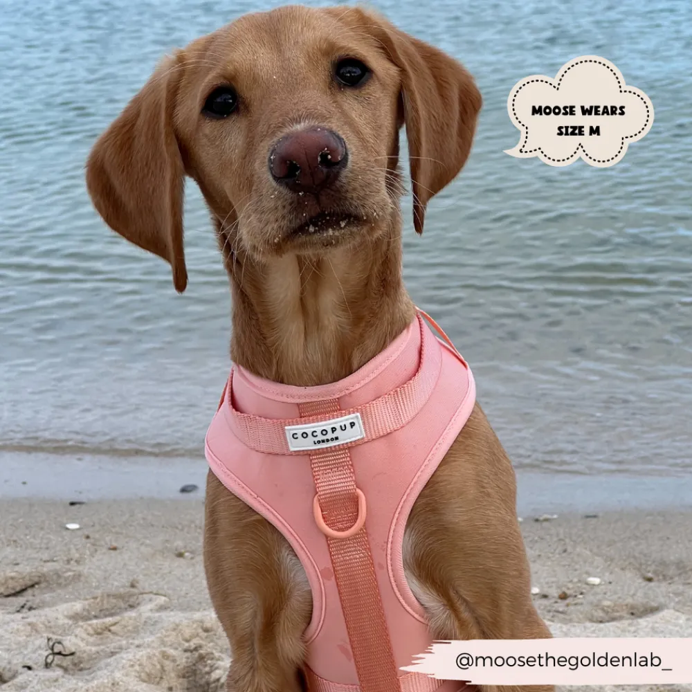 Cocopup Nakd D-Ring Harness Bundles | Nakd D-Ring Harnesses-NAKD Adjustable Neck Harness, Lead, Collar & Poop Bag Holder Bundle - Peach Floof