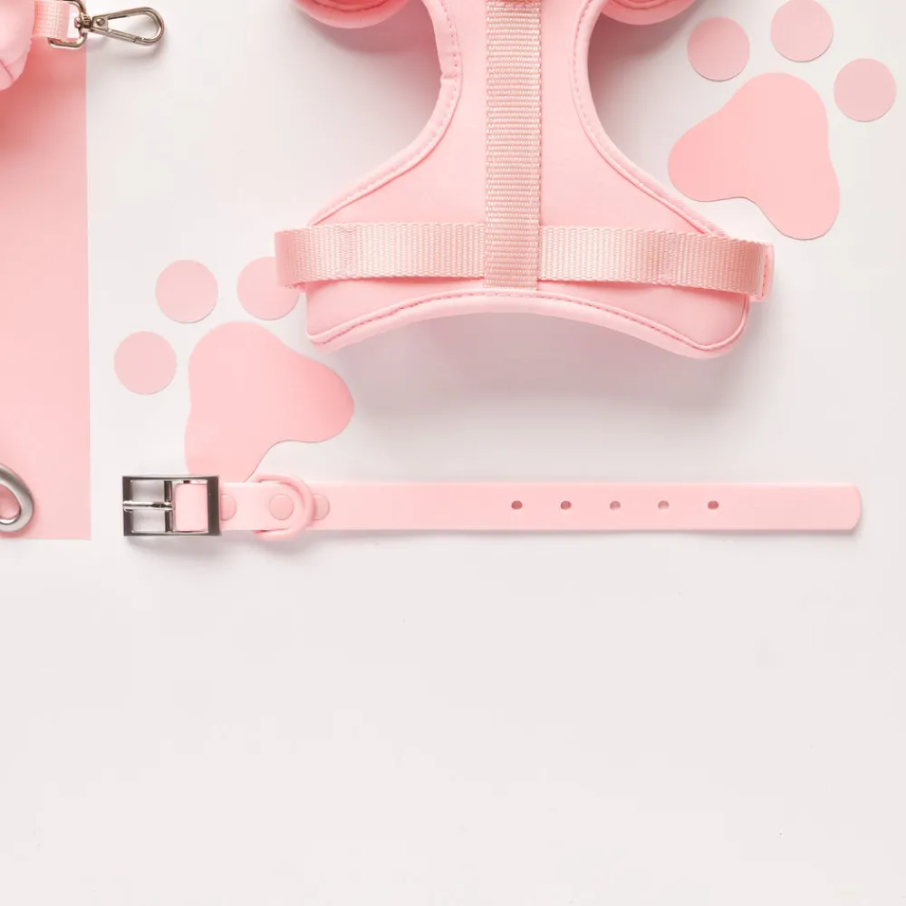 Cocopup Collars | Nakd Waterproof Collars-NAKD Collar - Candyfloss