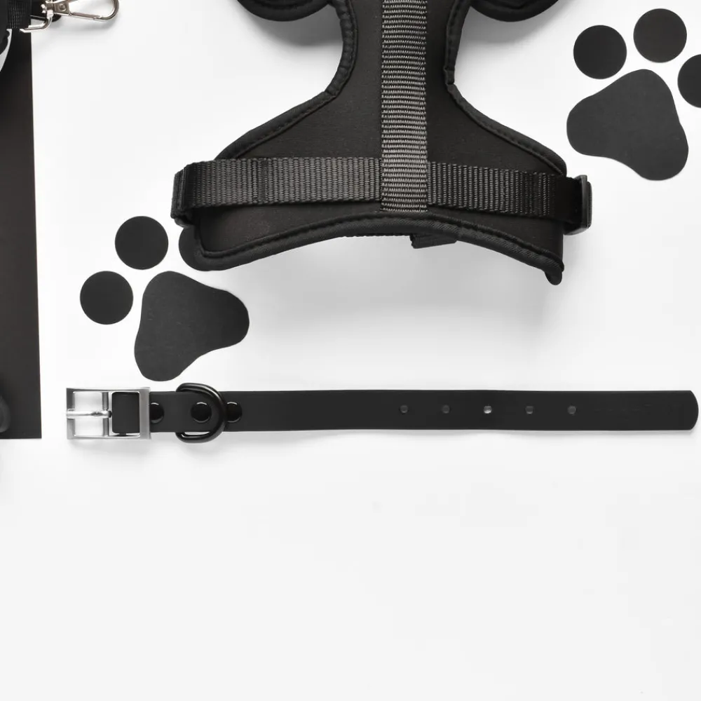 Cocopup Collars | Nakd Waterproof Collars-NAKD Collar - Liquorice