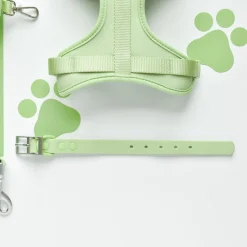 Cocopup Collars | Nakd Waterproof Collars-NAKD Collar - Matcha
