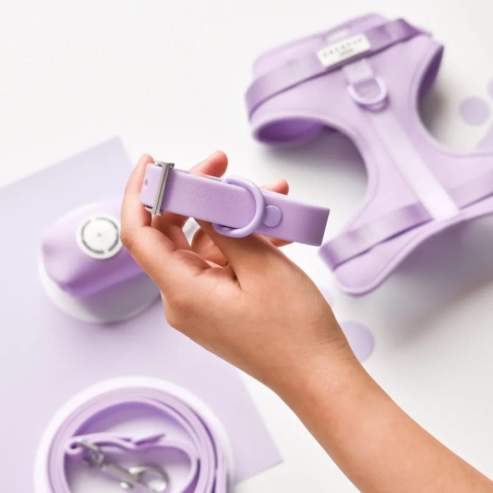 Cocopup Collars | Nakd Waterproof Collars-NAKD Collar - Parma Violets