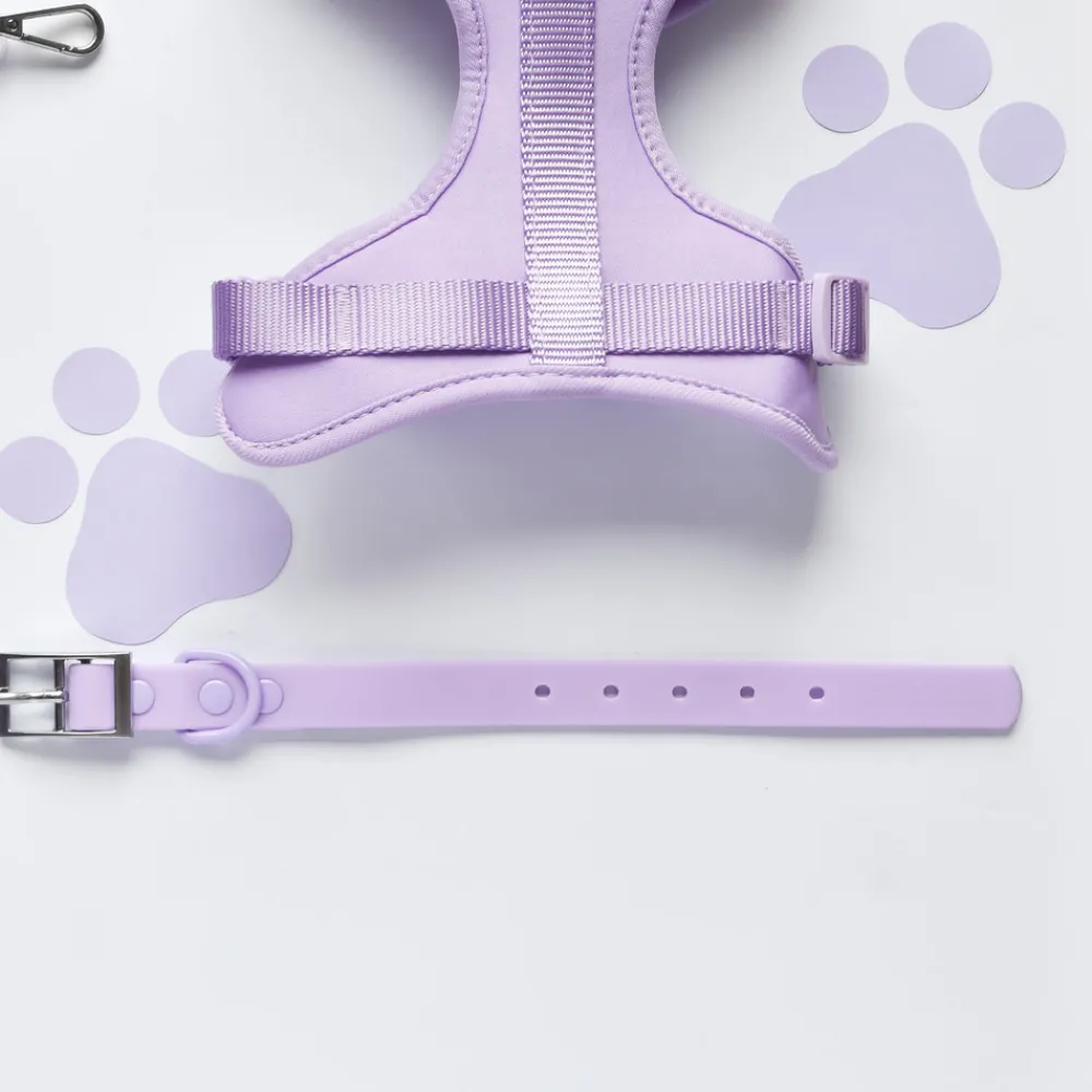 Cocopup Collars | Nakd Waterproof Collars-NAKD Collar - Parma Violets