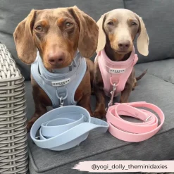 Cocopup Nakd Waterproof Leads-NAKD Lead - Bubblegum