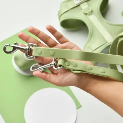 Cocopup Nakd Waterproof Leads-NAKD Lead - Matcha
