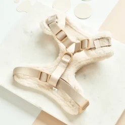 Cocopup Adjustable Harness Bundles-Nude Aviator Adjustable Neck Harness, Lead & Collar Bundle