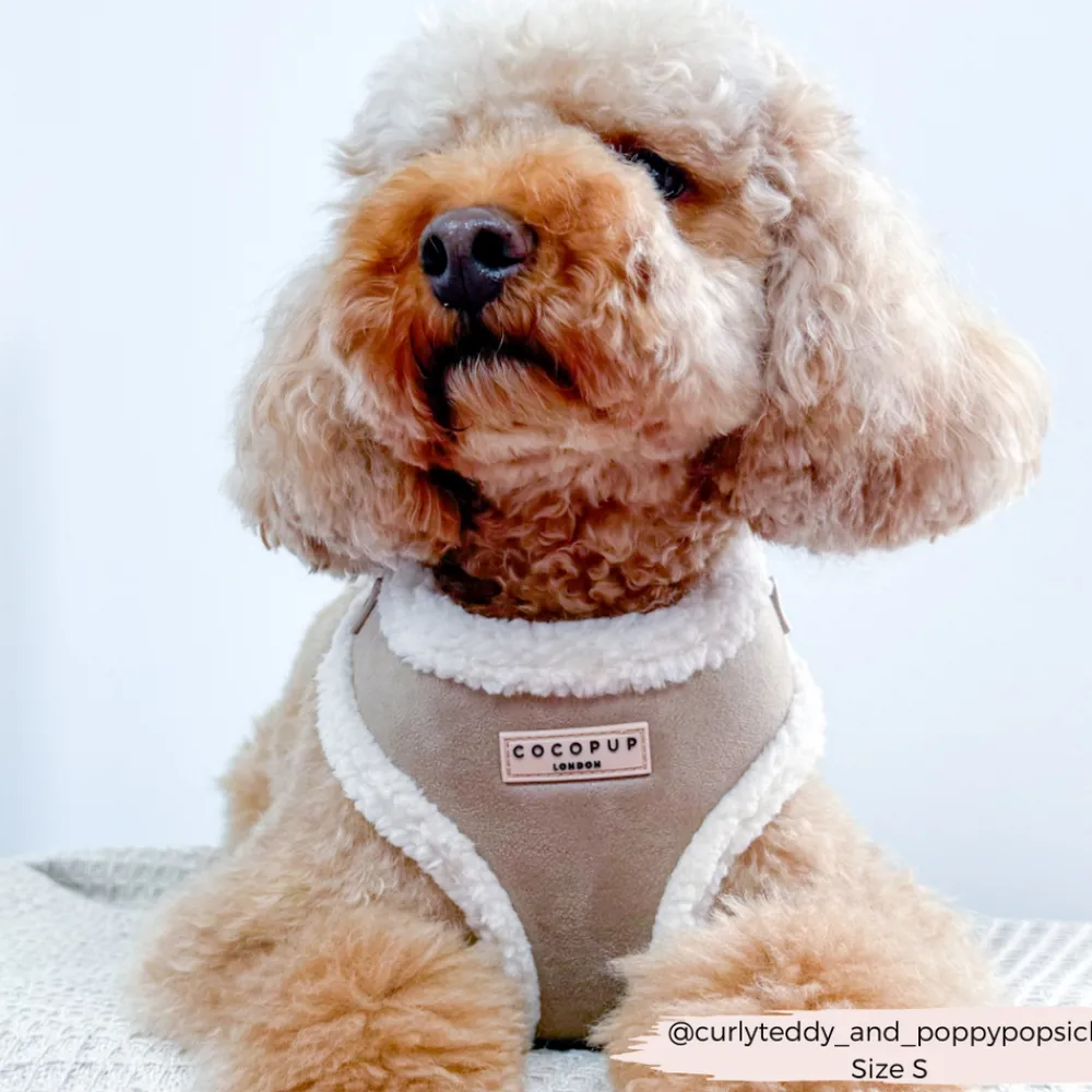 Cocopup Adjustable Neck Harnesses-Nude Aviator Adjustable Neck HARNESS