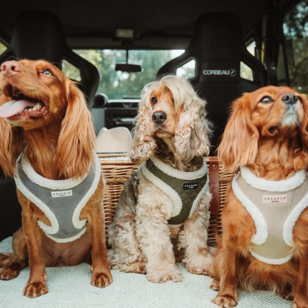 Cocopup Adjustable Harness Bundles-Nude Aviator Adjustable Neck Harness, Lead & Collar Bundle