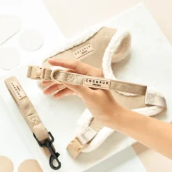 Cocopup Collars | Puppy Leads & Collars-Nude Aviator COLLAR
