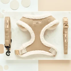 Cocopup Collars | Puppy Leads & Collars-Nude Aviator COLLAR