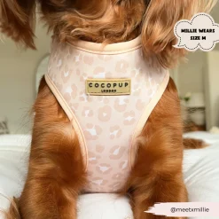 Cocopup Adjustable Neck Harnesses-Nude Chic Leopard Adjustable Neck HARNESS
