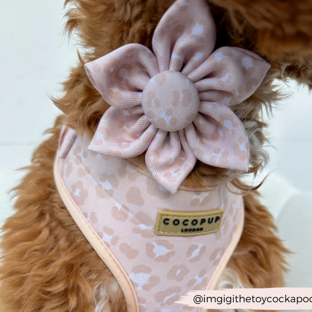 Cocopup Collar Flowers-Nude Chic Leopard Collar Flower