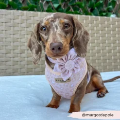 Cocopup Collar Flowers-Nude Chic Leopard Collar Flower