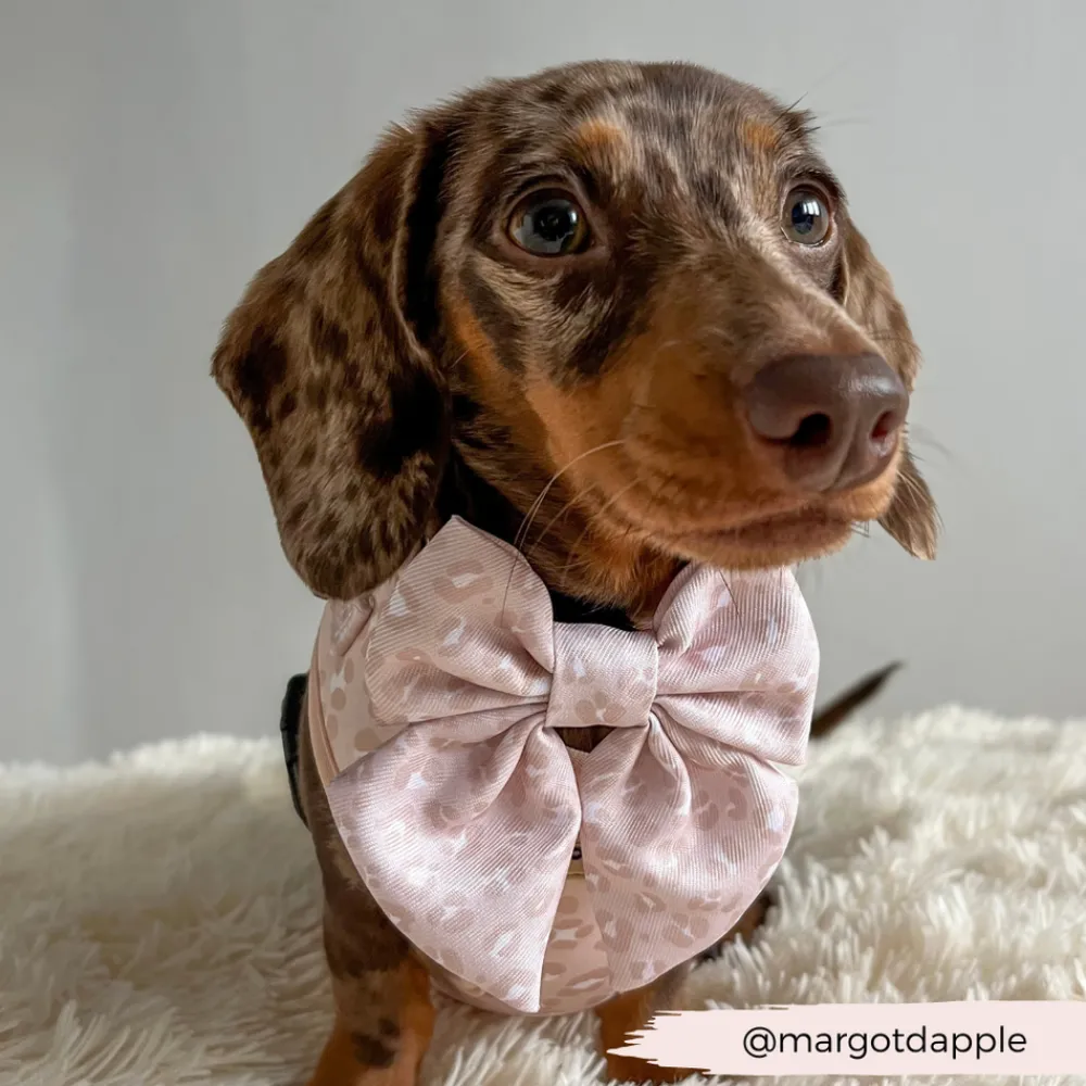 Cocopup Sailor Bow Ties-Nude Chic Leopard Sailor Bow Tie