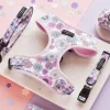 Cocopup Adjustable Harness Bundles-Pastel Flowers Adjustable Neck Harness, Lead & Collar Bundle