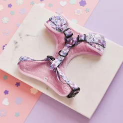 Cocopup Adjustable Harness Bundles-Pastel Flowers Adjustable Neck Harness, Lead & Collar Bundle